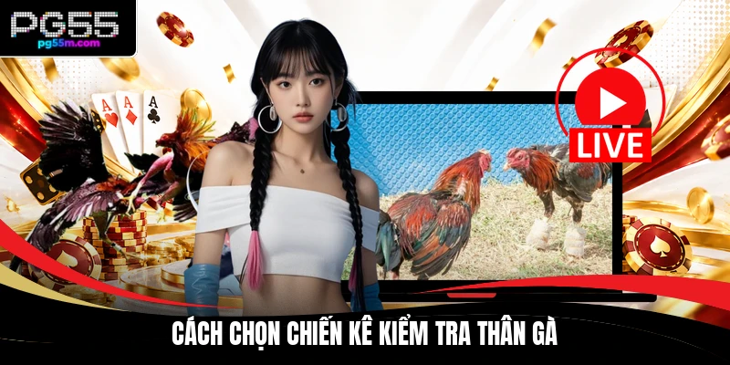 Cách chọn chiến kê kiểm tra thân gà