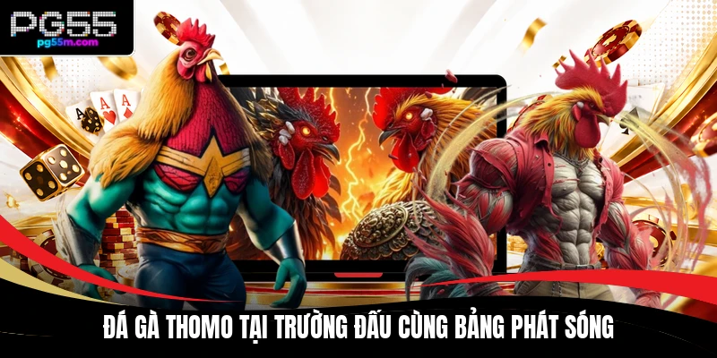 Đá gà Thomo tại trường đấu cùng bảng phát sóng