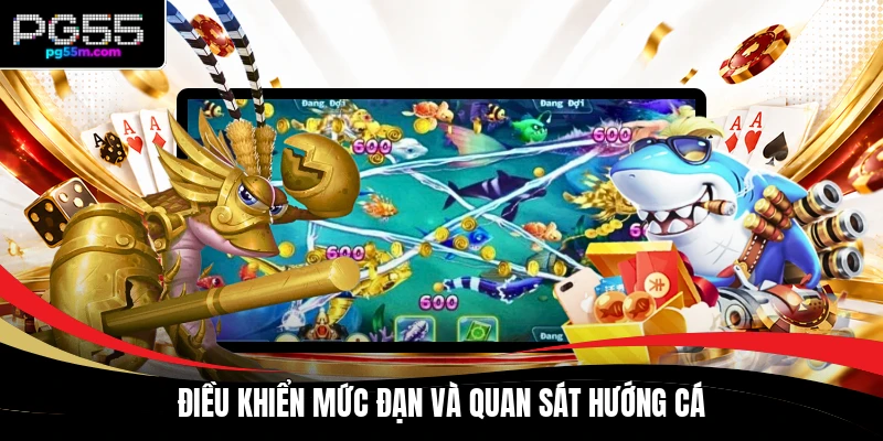 Điều khiển mức đạn và quan sát hướng cá