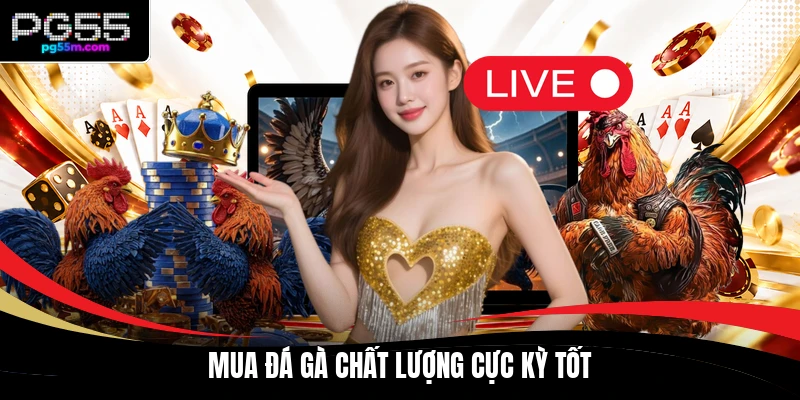 Mua đá gà chất lượng cực kỳ tốt